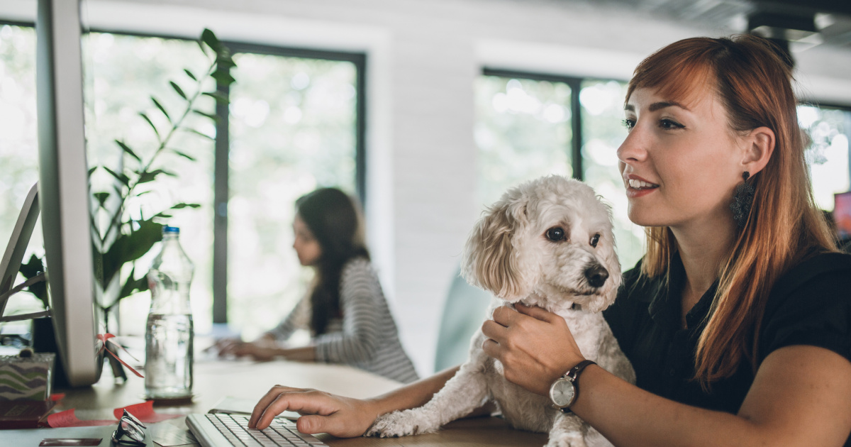 Hund Im Büro Mit Diesen Tipps Klappt Es Auf Der Arbeit Emotion De